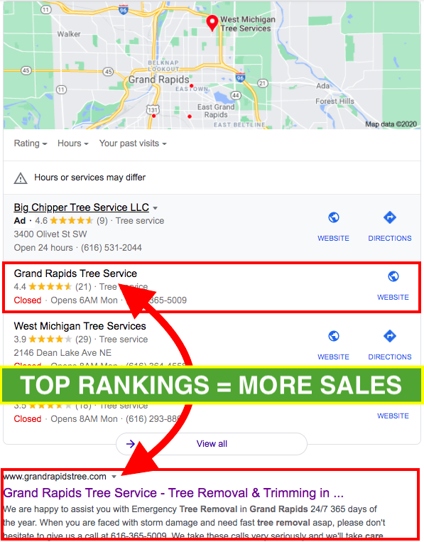 Grand Rapids Tree Service Google Ranking